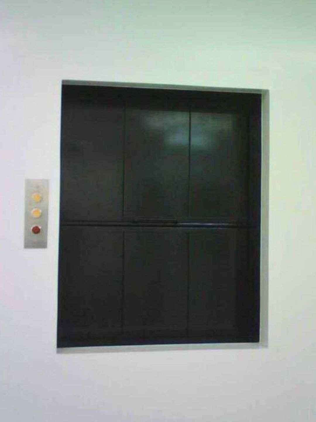 Elevacion profesional de carga